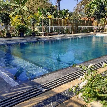 Вилла Ibiza Wonderland , Meppadi Wayanad Экстерьер фото