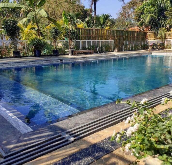 Вилла Ibiza Wonderland , Meppadi Wayanad Экстерьер фото
